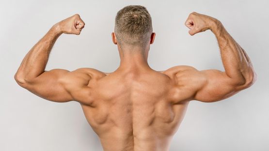 Brucia Grassi: Guida Completa per Ottimizzare il Tuo Fitness Brucia Grassi: Guida Completa per Ottimizzare il Tuo Fitness