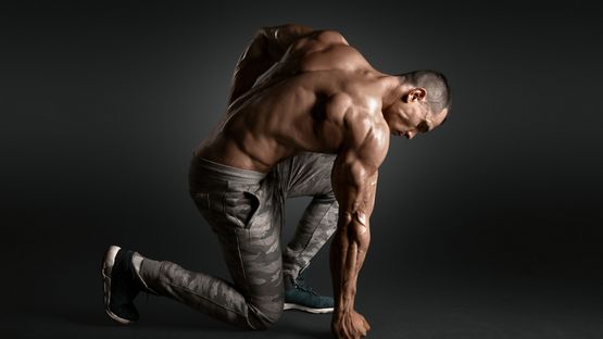 ¿Qué cursos son adecuados para ganar masa magra rápido? ¿Qué cursos son adecuados para ganar masa magra rápido?