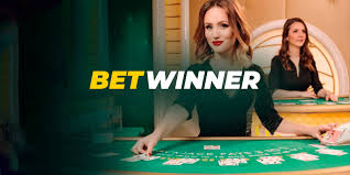 Discover the Opportunities of the BetWinner Affiliate Program Discover the Opportunities of the BetWinner Affiliate Program
