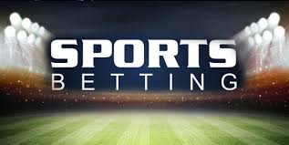 Exploring the Future of Gambling with 7d bet Exploring the Future of Gambling with 7d bet