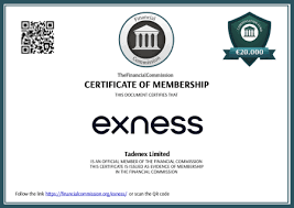 What is Exness A Comprehensive Overview